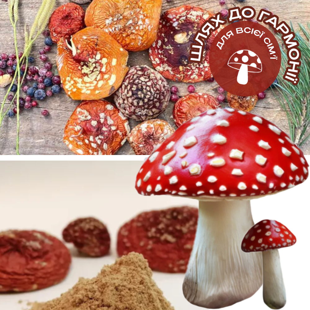 Заголовок